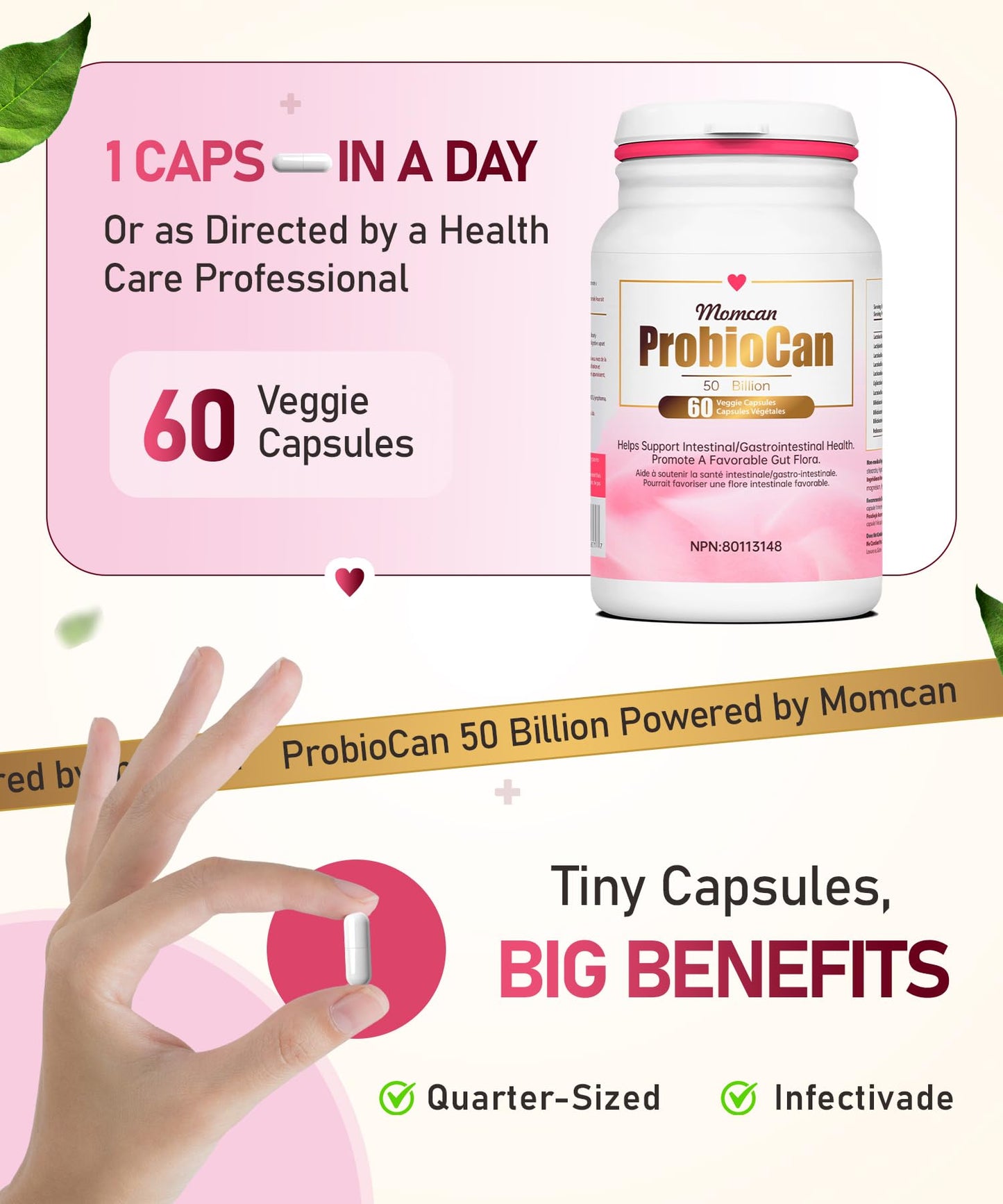 Probiotics 50B CFU | 11 Strains | Gut & Immune Support