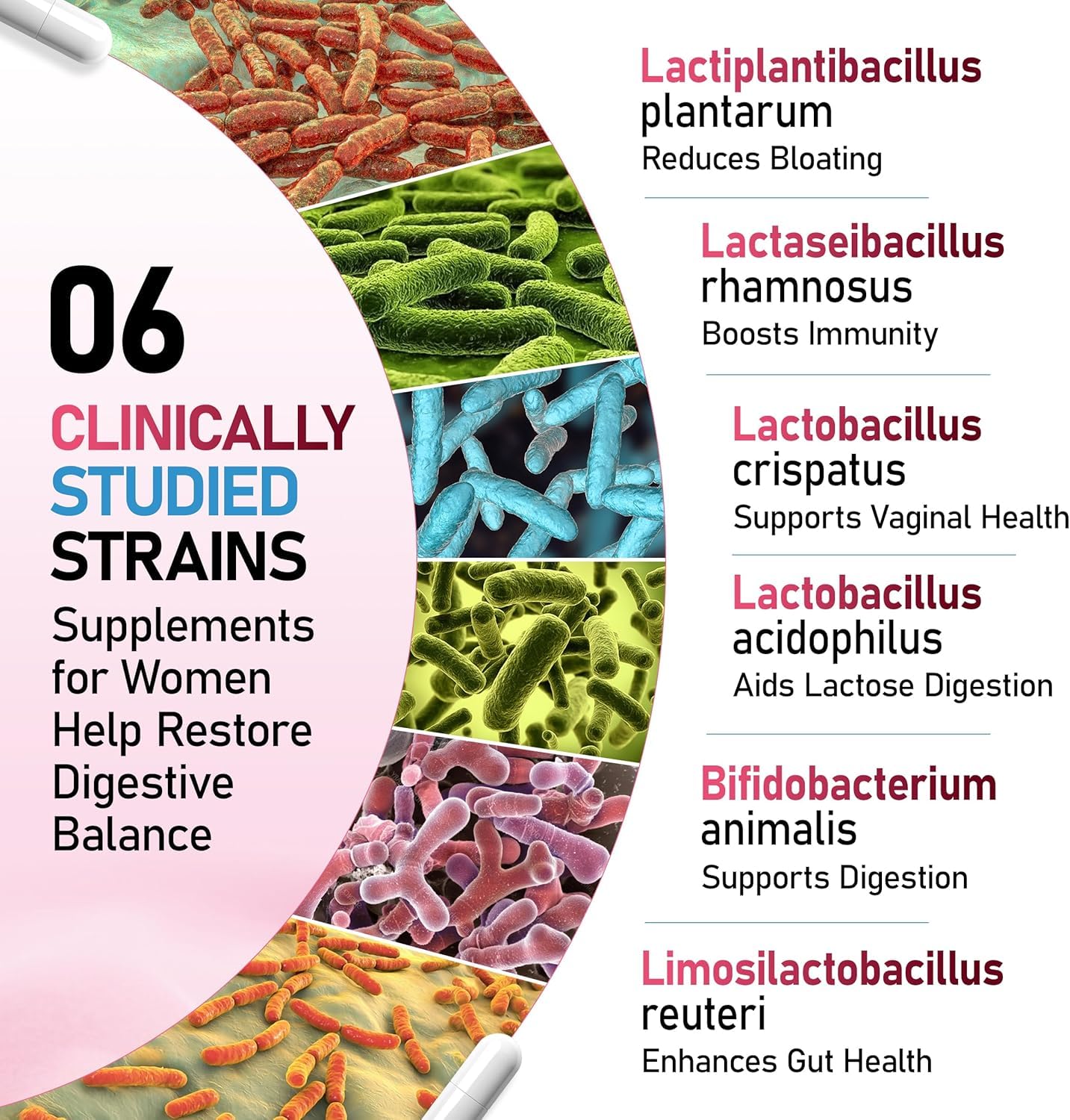 Supplemental health product with images of bacteria and listed strains for digestive health.